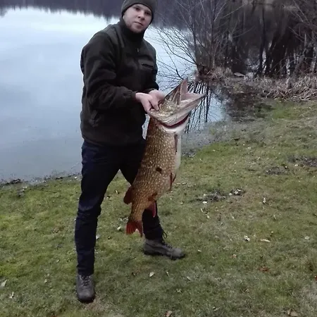Feriegård Wypoczynek Na Kaszubach Przy Jeziorach I Lasach