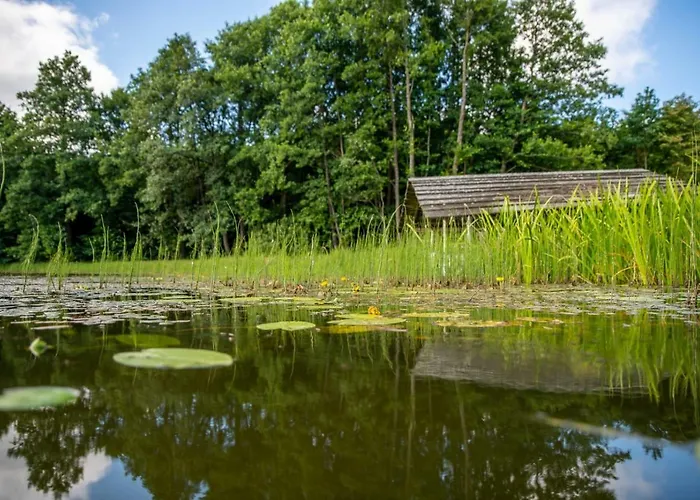 Фермерский дом Wypoczynek Na Kaszubach Przy Jeziorach I Lasach Mokrzyn